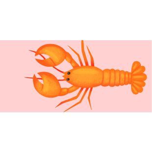 Table Tag - Cat Macinnes - 48 mm x 100 mm