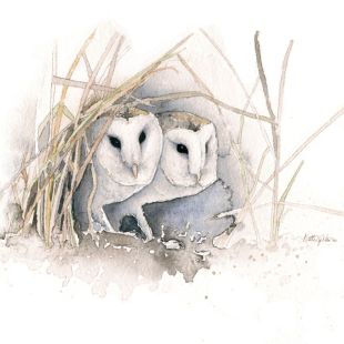 Card - Matteo - 100mm x 100mm