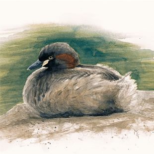 Card - Matteo - 100mm x 100mm