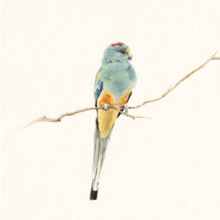 Card - Matteo - 140mm x 140mm