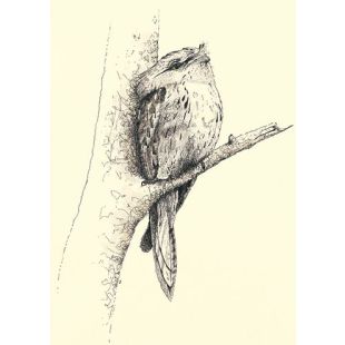 Card - Matteo - 125mm x 175mm