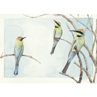 Card - Matteo - 125mm x 175mm