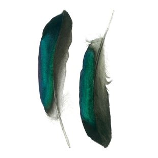 Card - Matteo - 125mm x 175mm