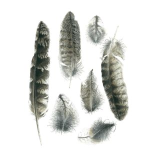 Card - Matteo - 125mm x 175mm