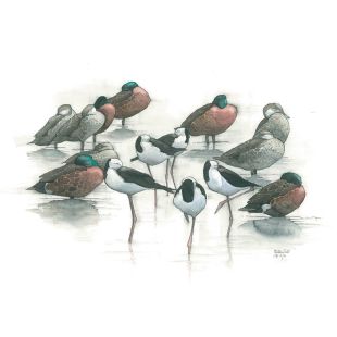 Card - Matteo - 125mm x 175mm