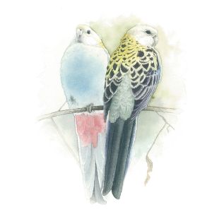 Card - Matteo - 125mm x 175mm