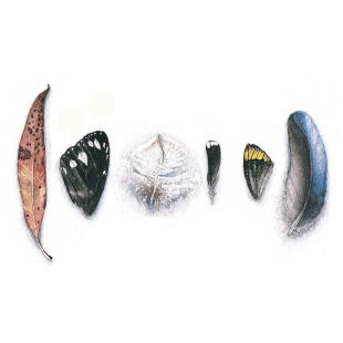 Card - Matteo - 125mm x 175mm