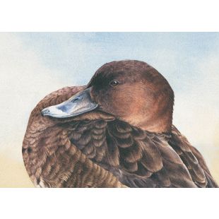 Card - Matteo - 125mm x 175mm