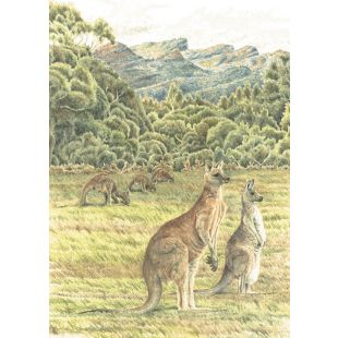 Card - Matteo - 125mm x 175mm