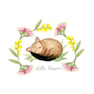 Card - Hello Possum S by Maxine Hamilton