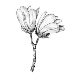 Card - Maxine Clarke - 100mm x 100mm