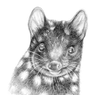 Card - Maxine Clarke - 140mm x 140mm