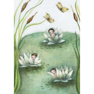 Card - Lotus Babies by Michelle Pleasance
