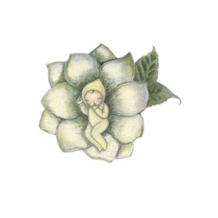 Card - Lotus Baby by Michelle Pleasance
