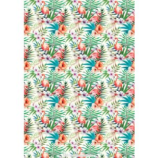 Wrapping Sheets - Flamingo by Nuovo Group