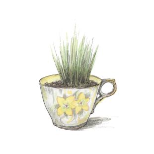 Card - Nicky Johnston - 100mm x 100mm