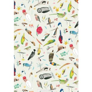 Wrapping Sheets - Australian Birds by Jess Mess