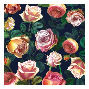 Card - One Penny - 100mm x 100mm