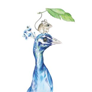 Card - Tog and Pini - 140mm x 140mm