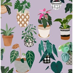 Card - S Purple Pots & Plants by Robyn Hammond