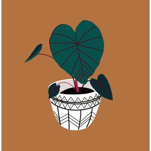 Card - S Monochrome Pot Plant by Robyn Hammond