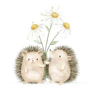 Card - Echidna's Holding Daisies by Sannadorable