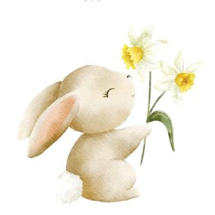 Card - Bunny Holding Daffodil by Sannadorable