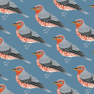 Card - Stephanie Chambers - 140mm x 140mm