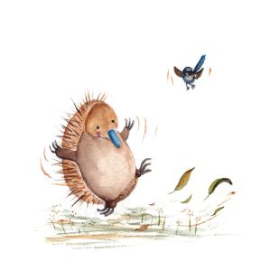 Card - Shaney Hyde - 100mm x 100mm