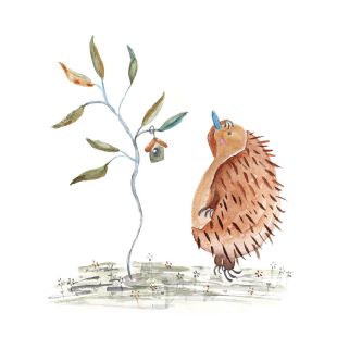 Card - Shaney Hyde - 100mm x 100mm