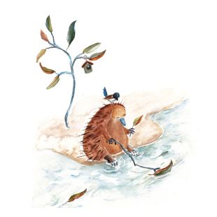 Card - Shaney Hyde - 100mm x 100mm