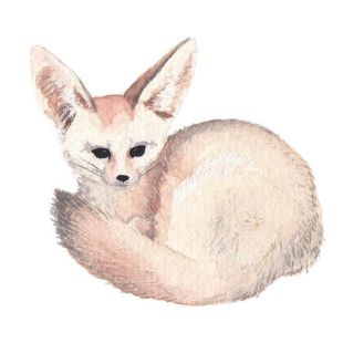 Card - Susannah Kay - 100mm x 100mm