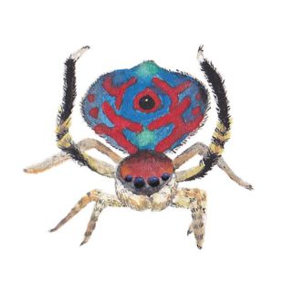 Card - Susannah Kay - 100mm x 100mm