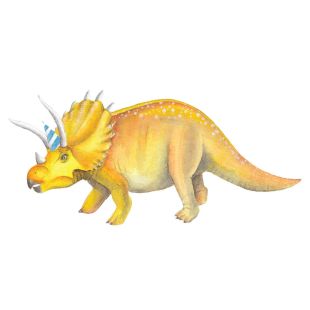 Card - Sussanah Kay - 100mm x 100mm