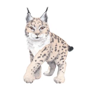 Card - Sussanah Kay - 100mm x 100mm