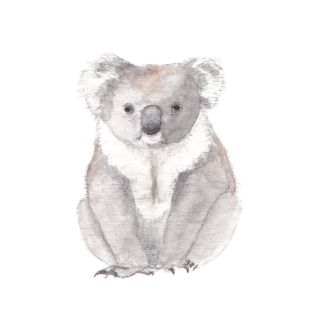 Card - Susannah Kay - 100mm x 100mm