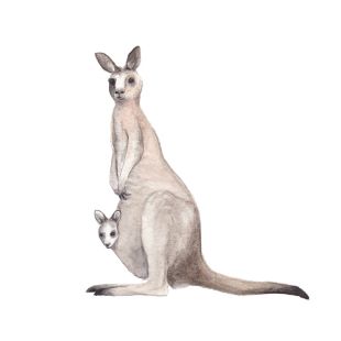 Card - Susannah Kay - 100mm x 100mm