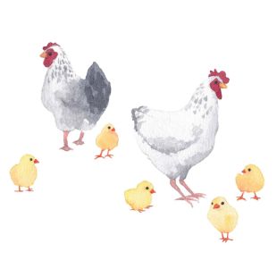 Card - Sussanah Kay - 100mm x 100mm