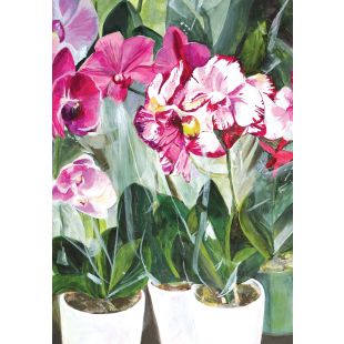 Card - Orchids by Daniela Glassop