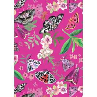 Card - Daniela Glassop - 125mm x 175mm