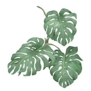 Card - Small Square Cards - 100mm x 100mm