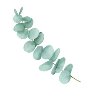 Card - Small Square Cards - 100mm x 100mm