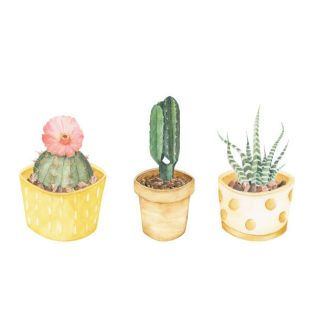 Card - Small Square Cards - 100mm x 100mm