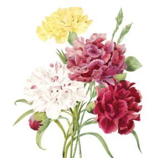 Card - Small Square Cards - 100mm x 100mm