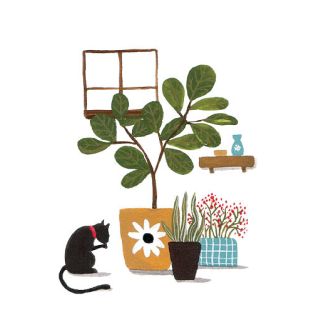 Card - Tania McCartney - 125mm x 175mm