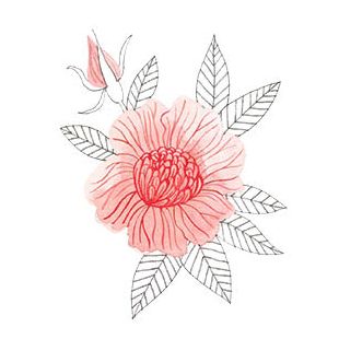 Card - Tania McCartney - 100mm x 100mm