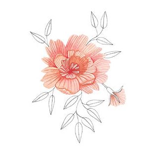 Card - Tania McCartney - 100mm x 100mm