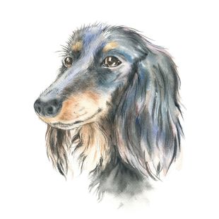 Card - Tog and Pini - 100mm x 100mm