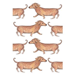 Card - Tog and Pini - 100mm x 150mm