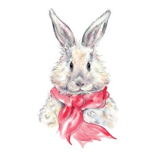 Card - Tog And Pini - 125mm x 175mm